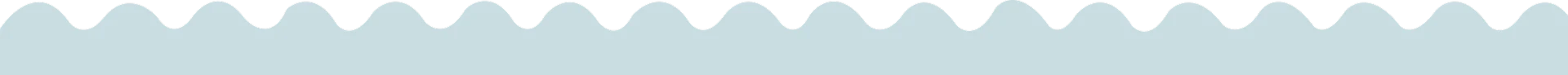 Decorative Design Element Bottom Line 3